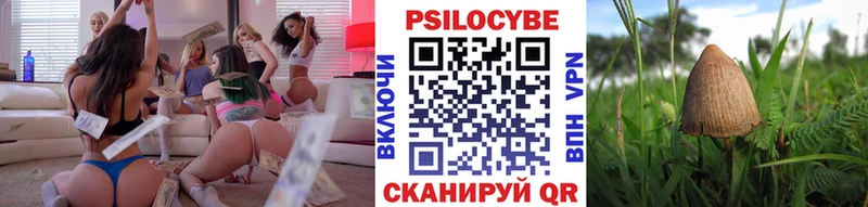 Купить где  Новоалександровск  Галлюциногенные грибы Psilocybe 